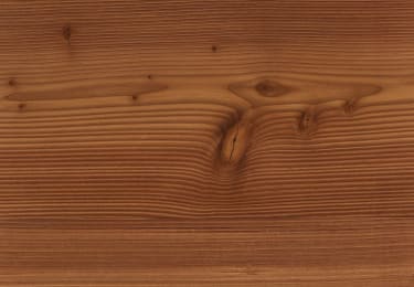 Summit Douglas Fir
